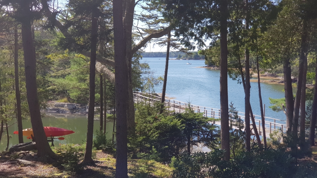 View from the window of my home